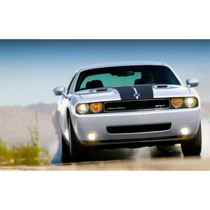 Casa si Gradina - Decoratiuni - Tablouri - Infinity.ro