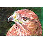 Casa si Gradina - Decoratiuni - Tablouri - Tablou canvas Animale model 211, 75x50 cm - Infinity.ro