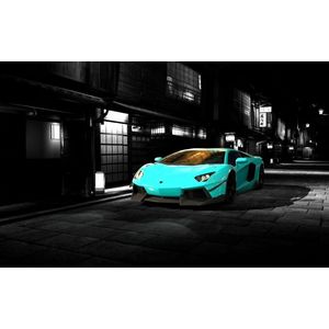 Casa si Gradina - Decoratiuni - Tablouri - Infinity.ro