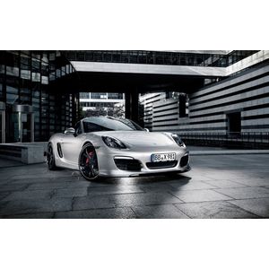 Casa si Gradina - Decoratiuni - Tablouri - Infinity.ro