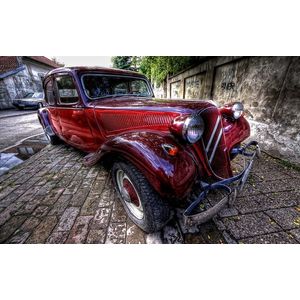 Casa si Gradina - Decoratiuni - Tablouri - Infinity.ro