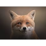 Casa si Gradina - Decoratiuni - Tablouri - Tablou canvas Animale model 333, 90x50 cm - Infinity.ro