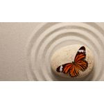 Casa si Gradina - Decoratiuni - Tablouri - Tablou canvas Animale model 595, 50x35 cm - Infinity.ro