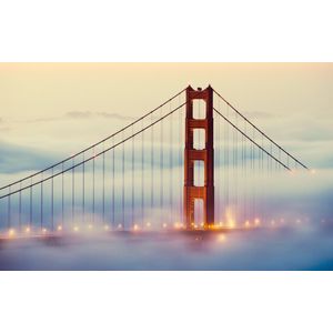 Casa si Gradina - Decoratiuni - Tablouri - Infinity.ro