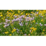Casa si Gradina - Decoratiuni - Tablouri - Tablou canvas Natura cu Flori model 170, 75x50 cm - Infinity.ro