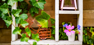 Decoratiuni exterior- Gradina si terasa - Casa si gradina